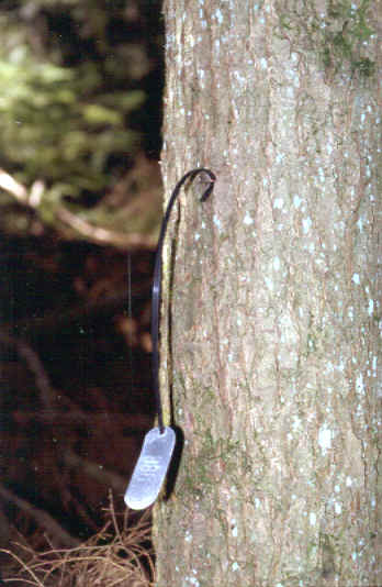 Tree tag on a Bar-Lok